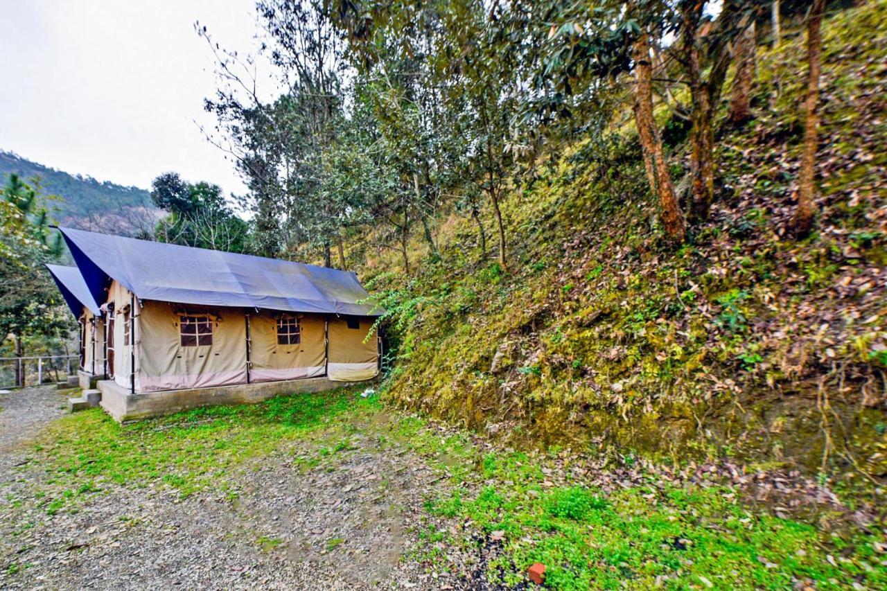 Oyo 29888 Nature Treat Hotel Chail Eksteriør billede